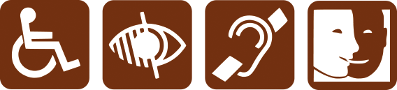 HANDICAP